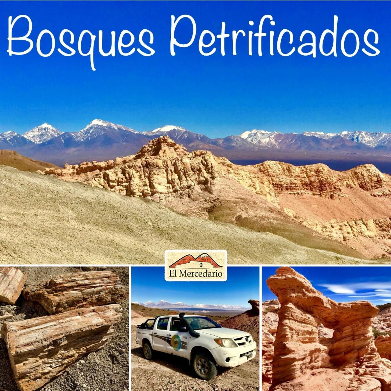 Ecoposada El Mercedario Barreal Buitenkant foto