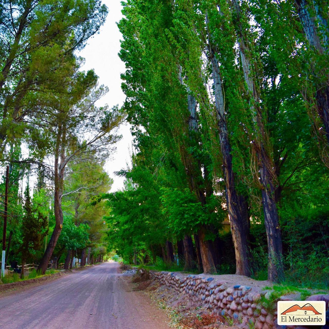 Ecoposada El Mercedario Barreal Buitenkant foto