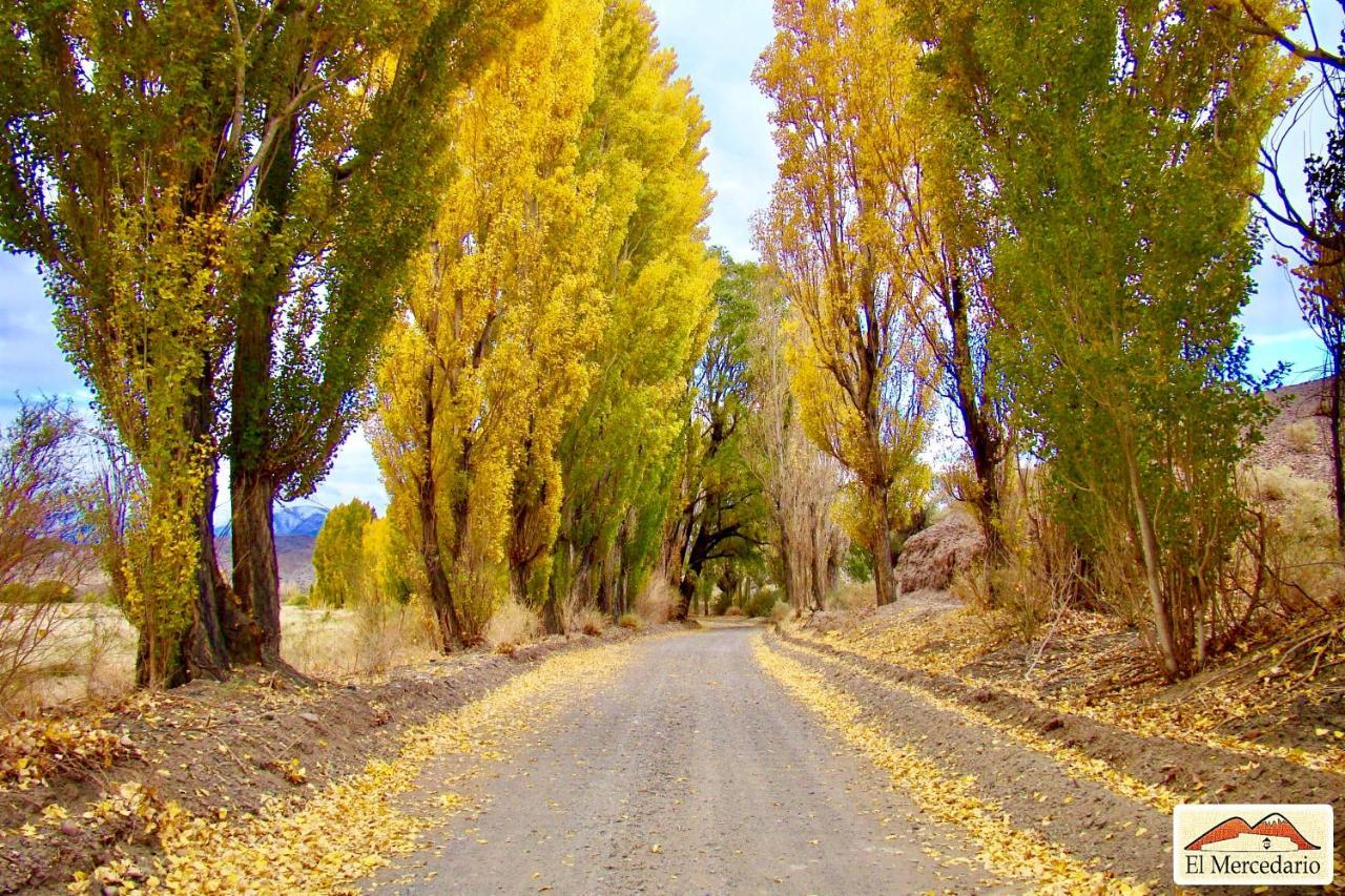 Ecoposada El Mercedario Barreal Buitenkant foto