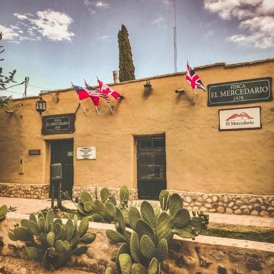 Ecoposada El Mercedario Barreal Buitenkant foto